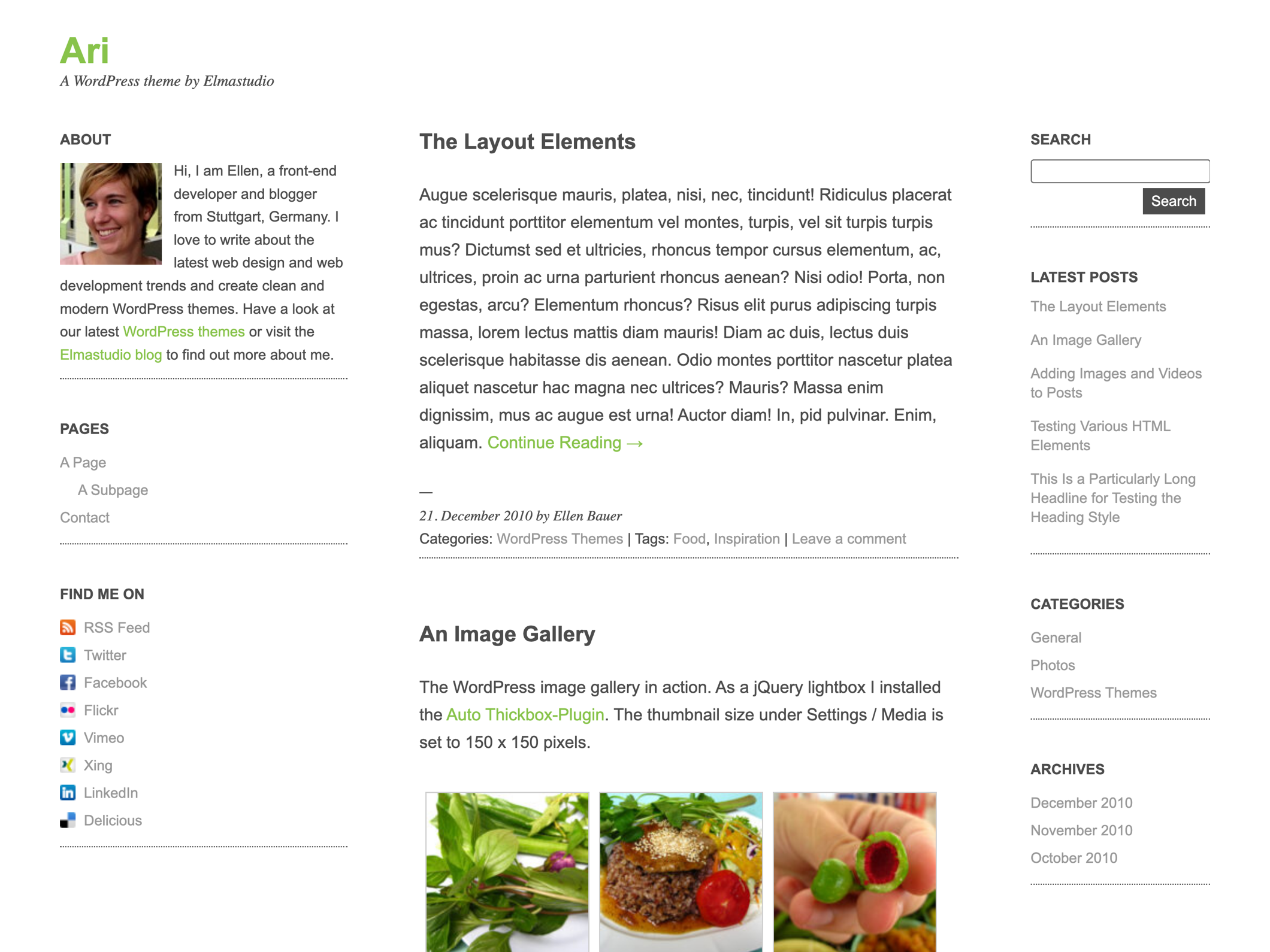 Ari WordPress Theme for Blogs