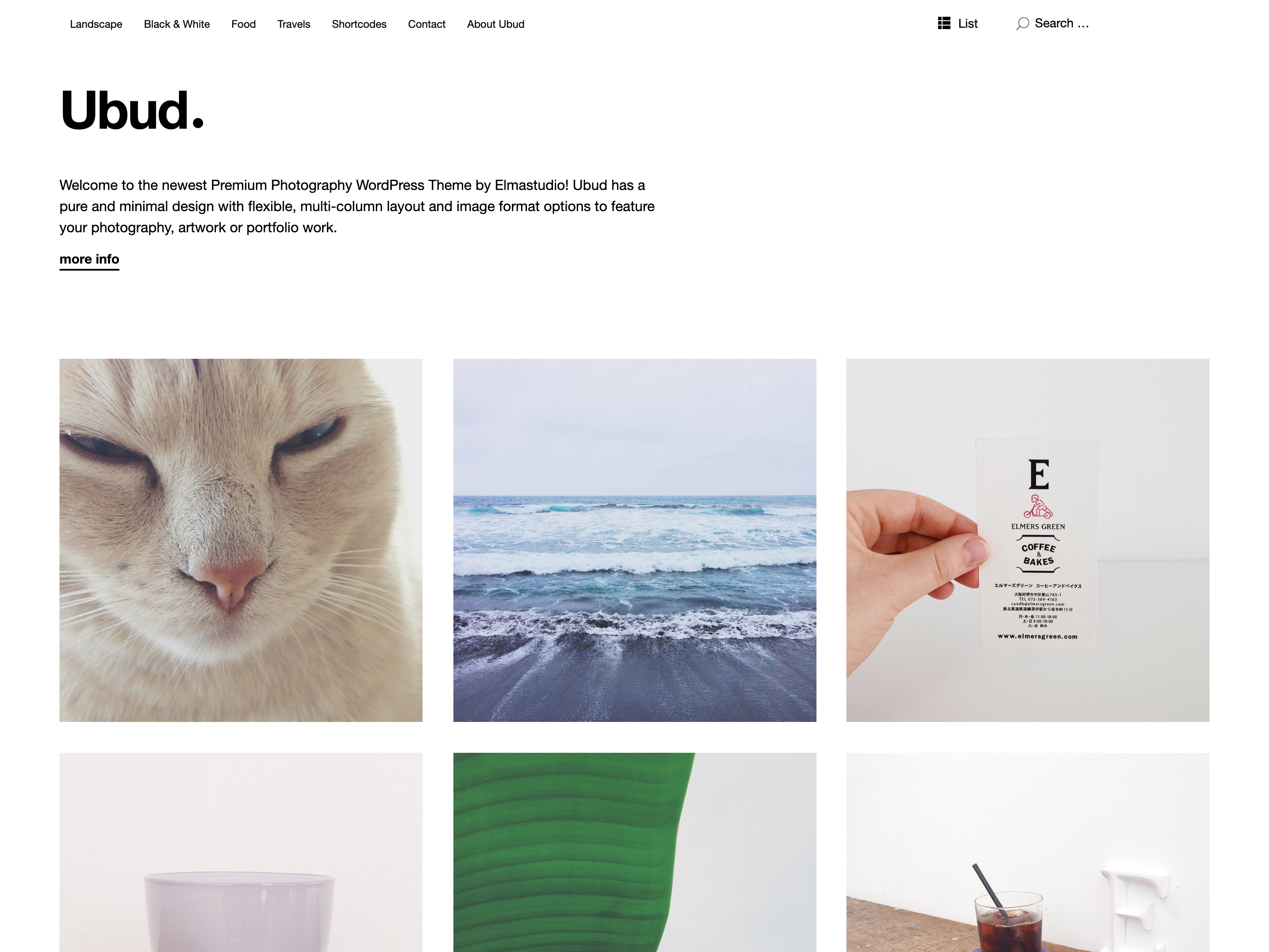 Ubud WordPress Theme for Photography
