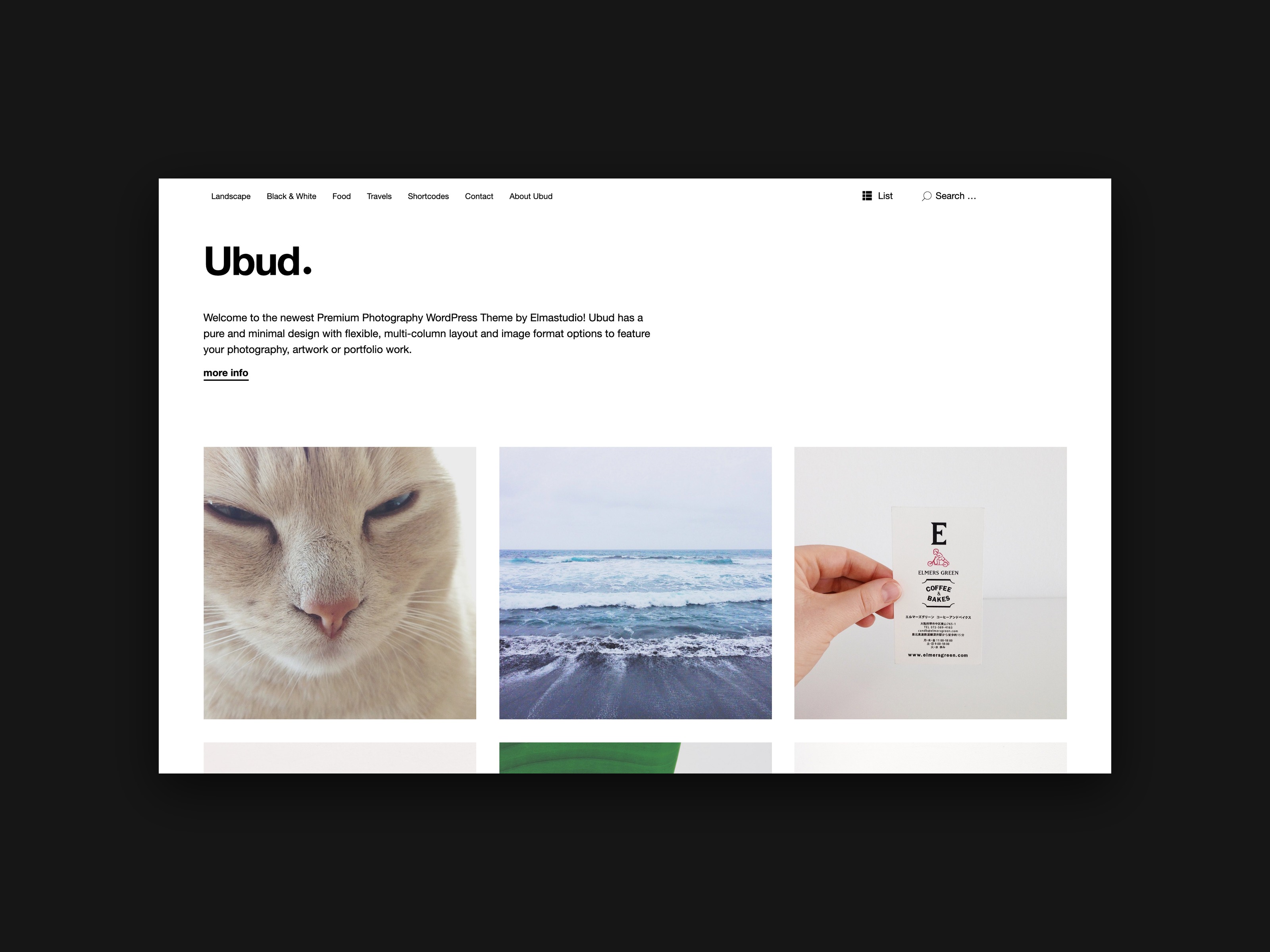 Der Header des Ubud Themes